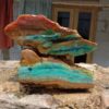 Blue opalized wood